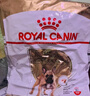 皇家狗粮 斗牛犬成犬狗粮 犬粮 宠物中型犬 FBA26 全价犬粮 ≥12月3KG 实拍图