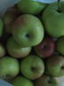京地达辽宁国光苹果 果光苹果酸甜小苹果 净重5斤20个左右源头直发包邮 实拍图