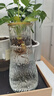 玻璃花瓶透明植物插花瓶水培容器大花瓶装饰客厅摆件 透明描金水波纹（17*5.5*8） 1个装 实拍图