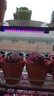 幽麦 LED植物生长补光灯 多肉灯植物夹子灯 双管40LED植物灯 实拍图