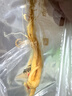 长白山人参酒浸保鲜人参单支18克3支装,约5年鲜人参泡酒材料泡酒煲汤保鲜参 实拍图
