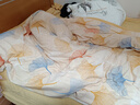 京东京造意式瓷磨四件套 A类抗菌100%纯棉磨毛 厚实保暖床上四件套床单款1.8米床 染秋沁暖 实拍图