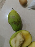 庾丰 芒果新鲜水果生鲜整箱当季大青皮芒 热带孕妇芒果 5斤装(净果4.5斤)单果200g+ 实拍图