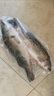 海名威 冷冻海鲈鱼850g/2条装 海鱼 生鲜鱼类 海鲜水产 年货节 实拍图