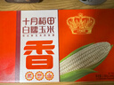 十月稻田 白甜糯玉米 8根 4.16斤 东北鲜黏玉米棒 低脂早餐苞米 杂粮礼盒  实拍图