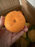 生活＆好管家四川丑橘不知火特大果新鲜水果桔橘子丑柑丑八怪整箱 9-10斤【家庭装】净重8.5斤 果径75-80mm【中大果】 实拍图