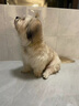 力狼（LILANG）狗粮成犬幼犬中大型犬通用拉布拉多金毛阿拉斯加法斗德牧马犬犬粮 【肉粒双拼】鲜鸡肉+鹿肉20kg 实拍图