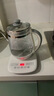 九阳（Joyoung）养生壶 1.5L煮茶器电热烧水壶开水壶 0胶水保温煮茶器玻璃花茶壶WY125 实拍图