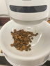 Hiigge嗨吉雪仓宠物智能称重无线自动喂食器 猫狗定时定量喂食器 实拍图