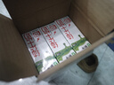 蒙牛全脂纯牛奶200ml*24盒 家庭年货囤货 电商定制 实拍图