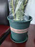 花盆绿植盆栽加厚塑料简约多肉小盆阳台客厅月季玫瑰大号家用花盆 高款1.5加仑(口径17cm)2个盆 配套托盘 实拍图