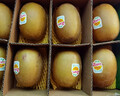 佳沛（zespri）新西兰阳光金奇异果 8个装 特大果单果重约122-146g 水果猕猴桃 实拍图