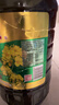 金龙鱼 食用油 【保真菜籽油】非转基因 物理压榨 纯香低芥酸菜籽油5L 实拍图