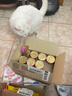 伟嘉主食罐头进口成猫慕斯罐头高肉量无谷三文鱼鸡肉85g*24 实拍图