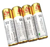 松然DMEGC 5号电池2600毫安 LR6指纹智能密码电子锁门锁专用七号AAA电池 东磁血压计血糖仪原装电池 【8节】DMEGC指纹锁专用电池 实拍图
