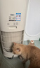 东芝（TOSHIBA）空气净化器SE大白梨PET除烟味除毛净化器大风量除尘净化器除螨除尘除过敏源消毒杀菌家用 实拍图
