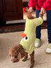 MIKI PAD狗狗衣服冬季保暖猫咪衣服四脚中小型犬秋冬小狗衣服比熊泰迪柯基 【四脚款绒衣】绿色小鸭 L胸围42cm（参考体重6-8.5斤） 实拍图