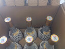 汾酒 黄盖玻汾 清香型白酒 53度 475mL*6瓶整箱 电商版原箱 实拍图