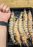 哆鲜生 海捕竹节虾 野外生长活冻国产斑节虾大花对虾九节竹节鬼虾虾类 竹节虾 大号 7-9条 300g(净重) 实拍图