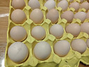 谷物鲜鸡蛋 土鸡蛋 现捡现发 农场直发 破损包赔40±5克/枚 30枚 实拍图