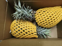京鲜生海南金钻凤梨 净重4.5斤单果900g起 2-3粒树上熟源头直发包邮 实拍图