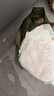 babycare金山茶花拉拉裤XXXXL26片(＞19kg)婴儿尿不湿超薄透气轻柔花苞裤 实拍图
