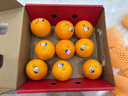 新奇士（Sunkist）美国蓝标早脐橙4斤礼盒 单果180g起 新鲜水果 定制马年礼盒 实拍图