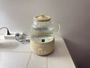 WORLD KITCHEN美国康宁养生壶全玻璃恒温壶煮茶壶煮茶器1.2L办公室花茶壶烧水壶电热水壶0胶和0拼接【基础款】 实拍图