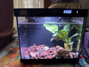 森森金麟超白玻璃鱼缸一体缸自循小型懒人家用水族箱LE-380 实拍图
