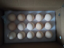 京鲜生【供港品质】【每日鲜蛋】叶黄素可生食鸡蛋30枚3.78斤/盒 礼盒  实拍图