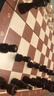 华圣国际象棋磁性大号胡桃木色高档教学训练比赛棋子儿童桌游国际象棋 实拍图