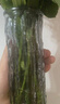 大号轻奢玻璃花瓶透明水养富贵竹水培绿植客厅桌面插干花装饰摆件 【18高】透明树身花瓶 实拍图