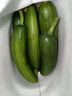 京喜加新鲜无刺水果小黄瓜小青瓜脆甜荷兰脆嫩生吃黄瓜蔬菜 水果黄瓜 1斤 净重 实拍图