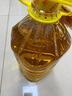 鲁花 食用油 物理压榨 剥壳去皮 葵花仁油5L 实拍图