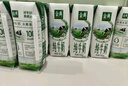 伊利金典纯牛奶整箱 250ml*16盒 3.6g乳蛋白 年货礼盒装 实拍图