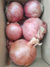 京鲜生山东紫皮小洋葱净重3斤装 新鲜白肉脆甜30g-150g小葱头 源头直发 实拍图