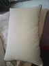 水星家纺枕头枕芯酒店枕头护颈枕头芯家用一对纯棉抗菌可水洗低枕48x74cm 实拍图