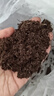 德沃多进口纯泥炭土28L园艺植物营养土通用养花土种菜土壤兰花多肉育苗 实拍图