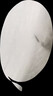 美厨（MAXCOOK）304不锈钢盆调料盆味斗21CM 洗菜盆沙拉盆和面盆 MCWA9952 实拍图