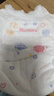 好奇（Huggies）金装拉拉裤XL96片(12-17kg)尿不湿【速干不易红】 实拍图
