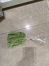 四季豆300g(架豆） 实拍图