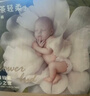 babycare金山茶花婴儿纸尿裤mini装L20片(9-14kg)尿不湿透气【新老混发】 实拍图