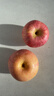 京鲜生 陕西洛川苹果红富士  净重5斤  单果200g+ 生鲜水果 实拍图