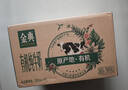 伊利【新鲜日期】金典纯牛奶整箱 250ml*16盒 3.6g乳蛋白 年货礼盒装 实拍图