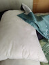 枕头枕芯套装单人一只枕头带枕套宿舍整头颈椎枕可拆洗枕头一对装 5大肥猫 二个枕芯二个枕套 实拍图