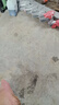 小天籁（XIAO TIAN LAI）刮脚搓脚去死皮老茧修脚磨脚神器套装工具脚底刮刀不锈钢专业搓脚 带盖搓脚板【黑色】+木质刮脚刀 实拍图