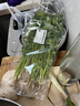 带根香菜100g 实拍图