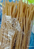 山东红薯粉条5斤细粉正宗粉条农家干粉酸辣粉火锅粉家用粉条 红薯细粉条【250g】不够吃 实拍图