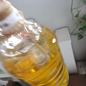 金龙鱼 食用油 葵花籽清香型食用植物调和油5L*4 实拍图