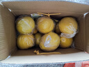 趣觅鲜正宗容县沙田柚产地直发广西特产纯甜无酸老树白肉柚子新鲜水果 20斤带箱9-11个礼盒装 实拍图